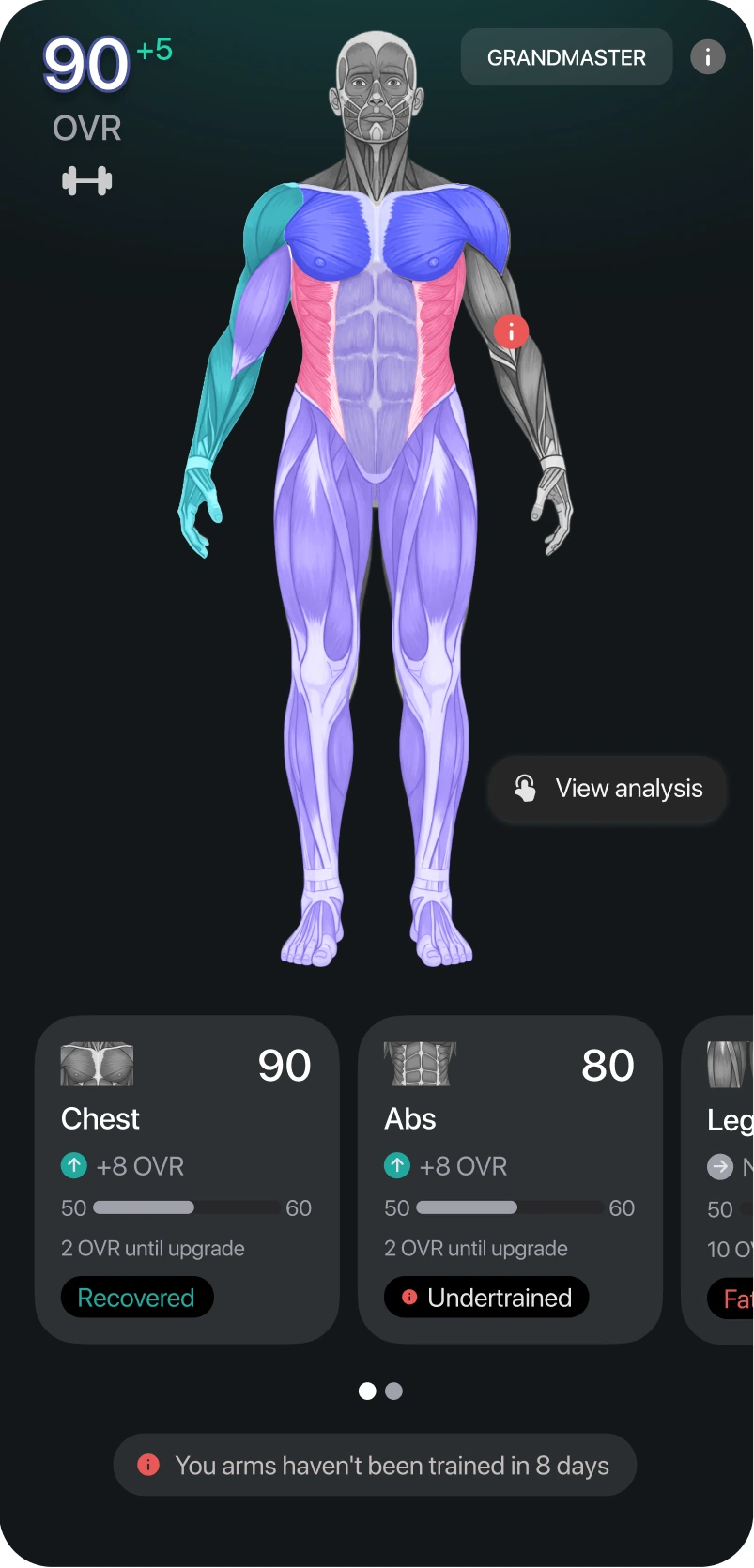 An athlete's muscle-group readiness map, with recovered and undertrained groups called out